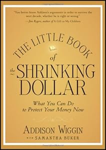The Little Book of the Shrinking Dollar: What You Can Do to Protect Your Money Now by Addison Wiggin