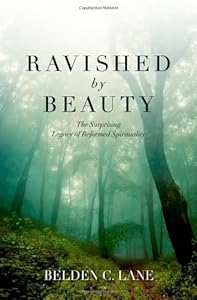 Ravished by Beauty: The Surprising Legacy of Reformed Spirituality