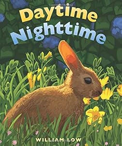 Daytime Nighttime