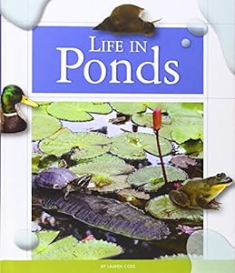 Life in Ponds