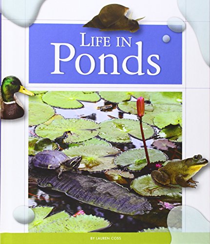 Life in Ponds by Lauren Coss