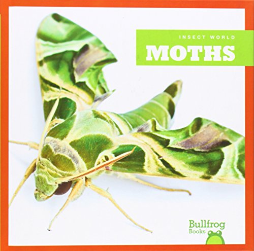 Moths by Mari Schuh