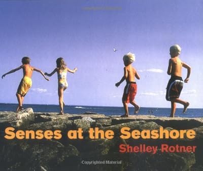Senses at the Seashore