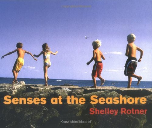 Senses at the Seashore by Shelley Rotner