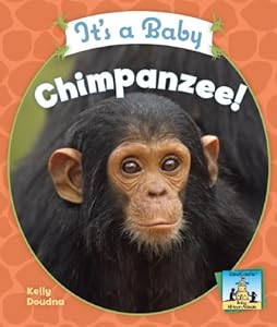 It's a Baby Chimpanzee! (Sandcastle: Baby African Animals)