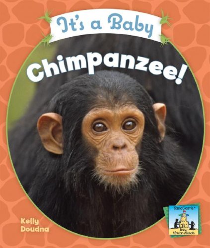 It's a Baby Chimpanzee! (Sandcastle: Baby African Animals) by Kelly Doudna