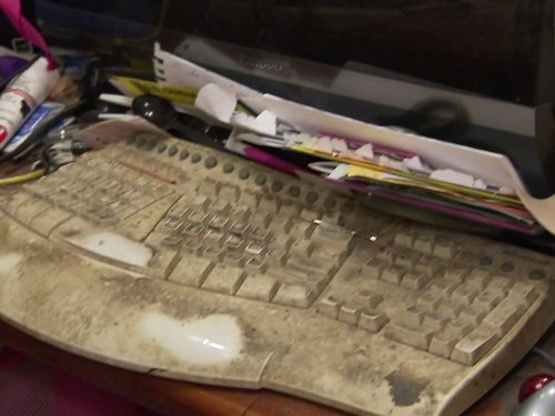 Algopix Similar Product 6 - Leading a Double Life