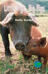 Little Pigs, Big Pigs: Learning the Short I Sound (Power Phonics/Phonics for the Real World)