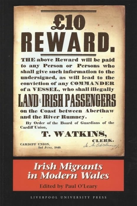 Irish Migrants in Modern Wales by Paul O'Leary