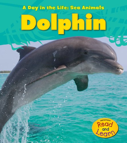 Dolphin by Louise Spilsbury
