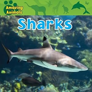 Sharks (Amazing Animals)