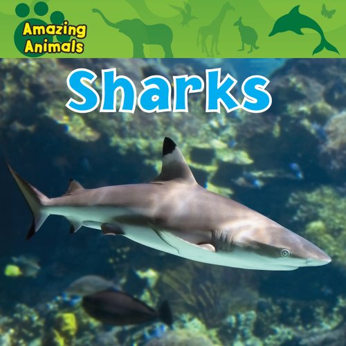 Sharks (Amazing Animals) by Christina Wilsdon
