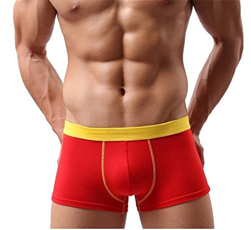 Astarin Mens Modal Colored Low Rise Trunks