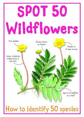 Spot 50 Wildflowers (Spot 50's) by Camilla de la Bedoyere