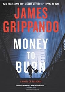 Money to Burn: A Novel of Suspense