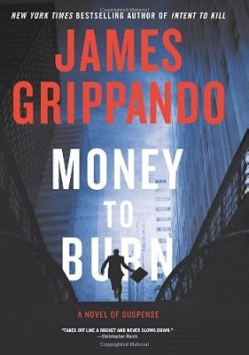 Money to Burn: A Novel of Suspense