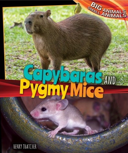 Capybaras and Pygmy Mice by Henry Thatcher