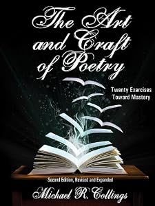 The Art and Craft of Poetry: Twenty Exercises Toward Mastery (Borgo Literary Guides)