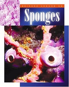 Sponges (Science Around Us (Chrysalis))