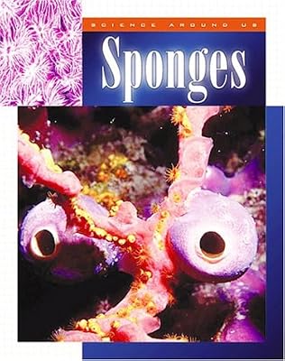 Sponges (Science Around Us (Chrysalis))