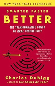 Smarter Faster Better: The Transformative Power of Real Productivity