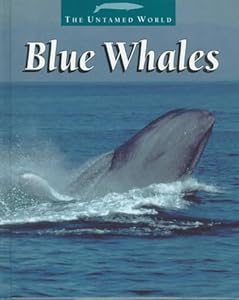 Blue Whales (The Untamed World)