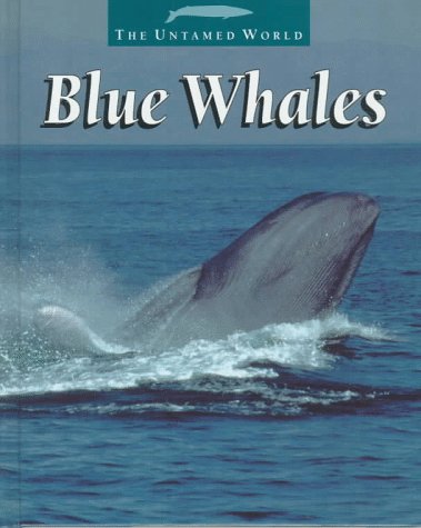 Blue Whales (The Untamed World) by Patricia Miller-Schroeder