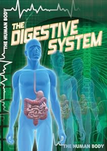 The Digestive System