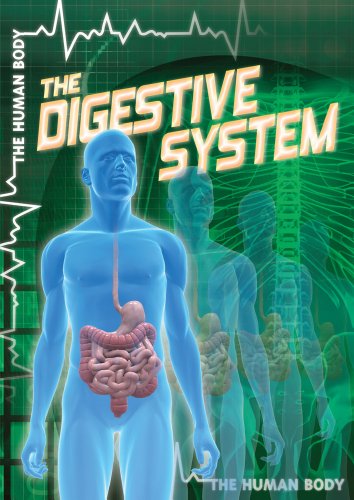 The Digestive System by John M., M.D. Shea