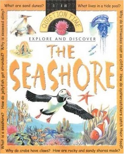Question Time: Seashore by Angela Wilkes