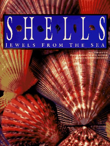 Shells: Jewels from the Sea by M. G. Harasewych