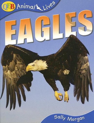 Eagles (Animal Lives) by Sally Morgan