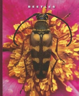 Beetles (The World of Insects)