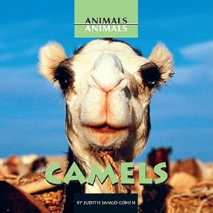 Camels (Animals, Animals)