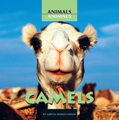 Camels (Animals, Animals) by Judith Jango-Cohen