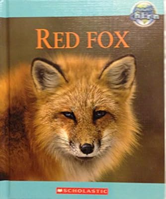 Red fox