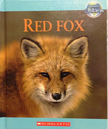 Red fox by Jen Green