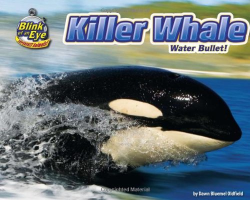 Killer Whale: Water Bullet! by Dawn Bluemel Oldfield