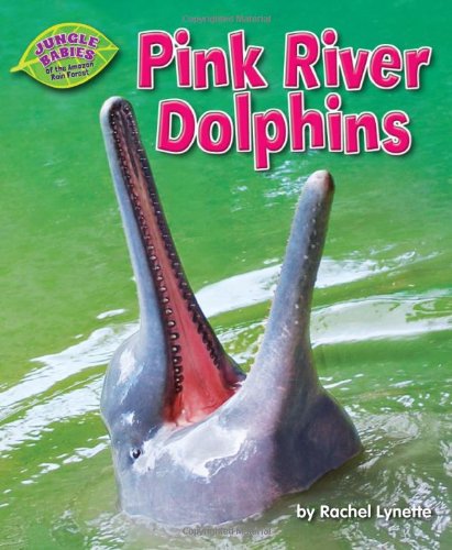 Pink River Dolphins by Rachel Lynette