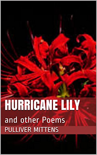 Algopix Similar Product 2 - Hurricane Lily: and other Poems