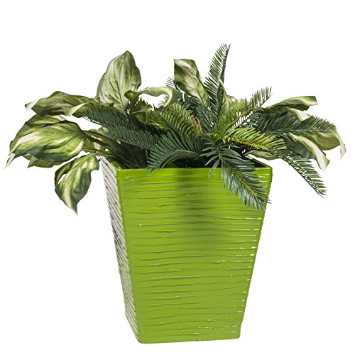 Algopix Similar Product 13 -