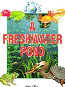 A Freshwater Pond (Small Worlds)