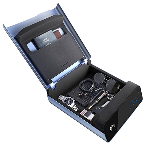 Godrej Goldilocks Personal Safe (2.2 Litres)