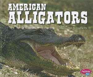 American Alligators