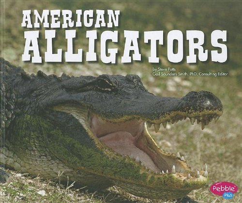 American Alligators by Steve Potts