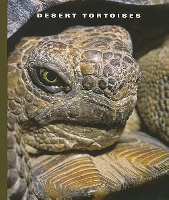 Desert Tortoises (World of Reptiles)