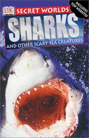 Secret Worlds: Shark (Secret Worlds) by Miranda Macquitty