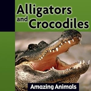 Alligators and crocodiles