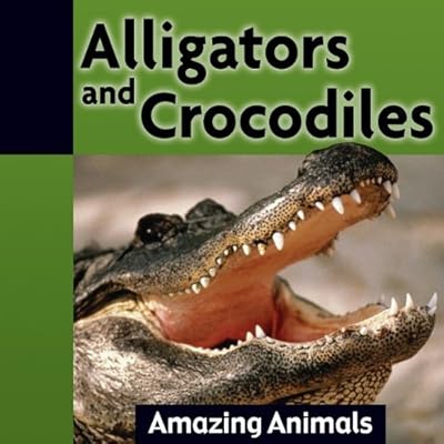 Alligators and crocodiles