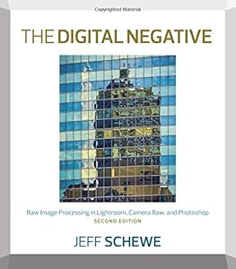 The Digital Negative: Raw Image Processing in Lightroom, Camera Raw, and Photoshop